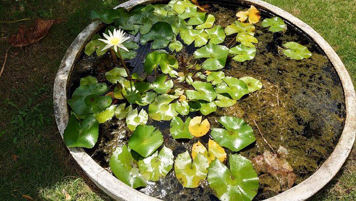 《恆。好》恆春，墾丁蔬食、素食餐廳推薦