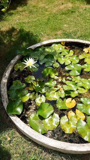 《恆。好》恆春，墾丁蔬食、素食餐廳推薦