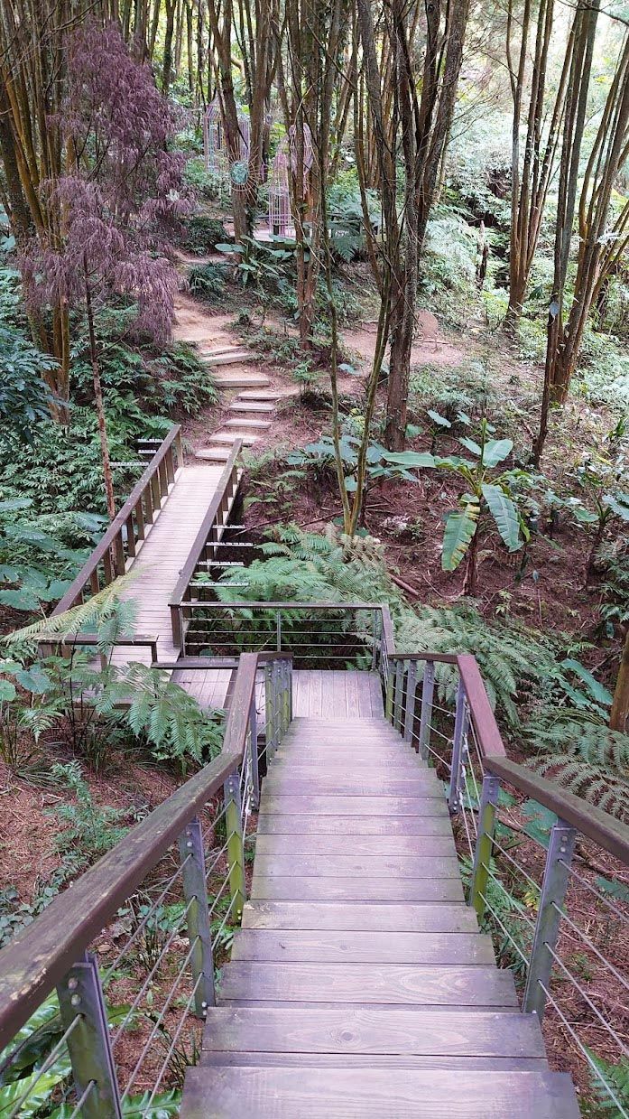 《薰衣草森林》台中新社 葷素混合蔬食餐廳 推薦