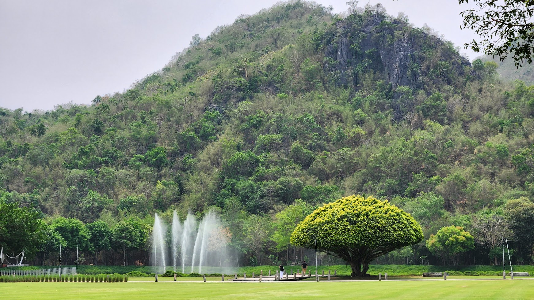 泰國網美咖啡廳 Park Sathorn & The Village 有一家有蔬食菜單唷!皮皮帶你咖啡廳踩點與美拍環境大解密