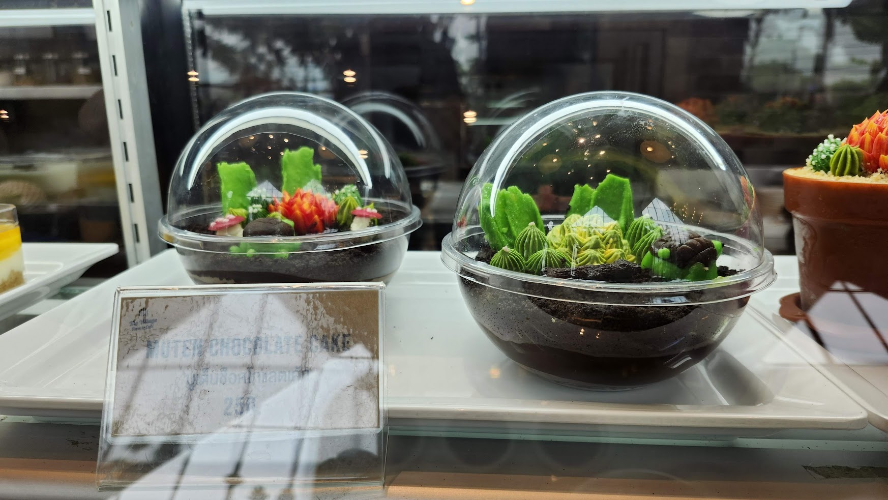 泰國網美咖啡廳 Park Sathorn & The Village 有一家有蔬食菜單唷!皮皮帶你咖啡廳踩點與美拍環境大解密