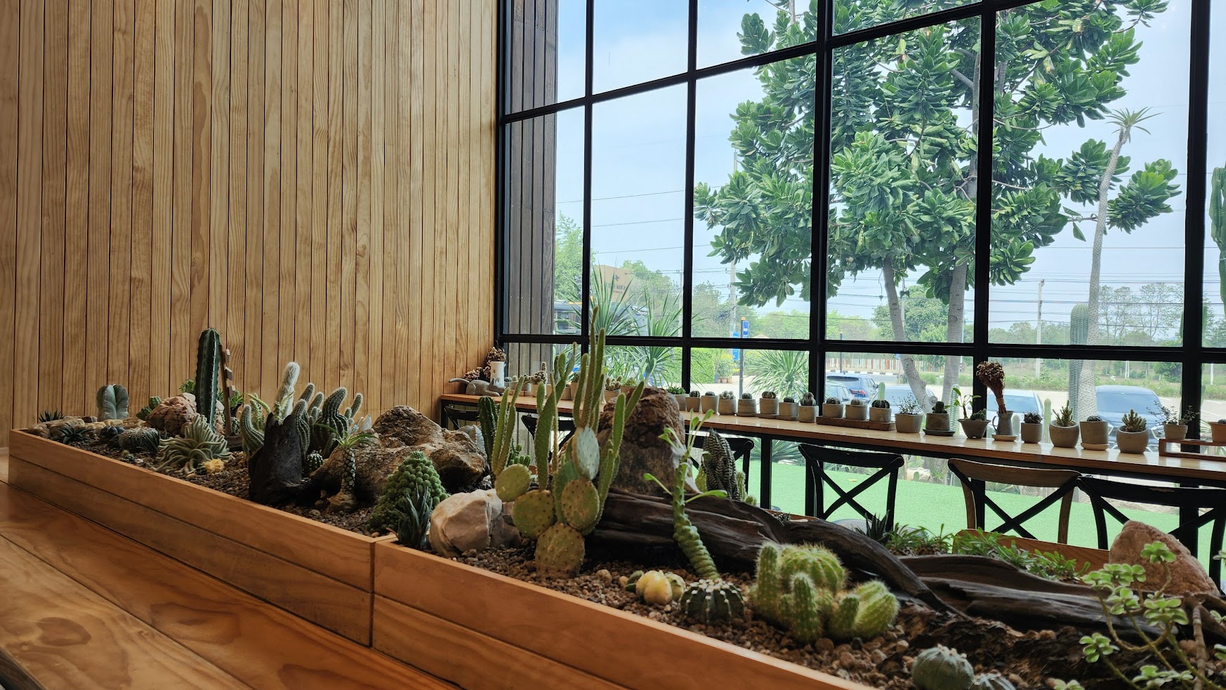 泰國網美咖啡廳 Park Sathorn & The Village 有一家有蔬食菜單唷!皮皮帶你咖啡廳踩點與美拍環境大解密