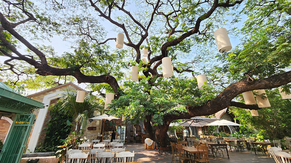 泰國網美咖啡廳 Park Sathorn & The Village 有一家有蔬食菜單唷!皮皮帶你咖啡廳踩點與美拍環境大解密