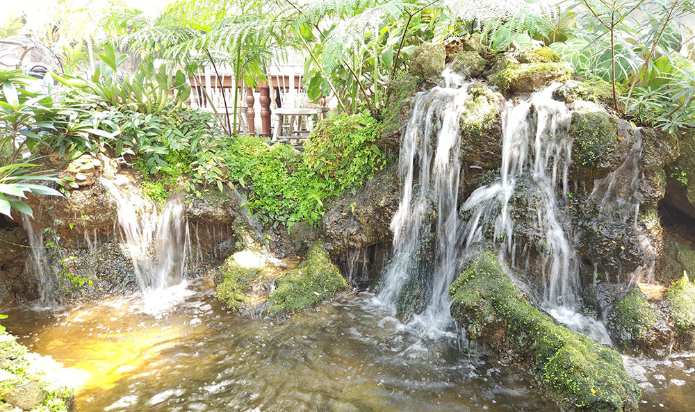 泰國網美咖啡廳 Park Sathorn & The Village 有一家有蔬食菜單唷!皮皮帶你咖啡廳踩點與美拍環境大解密