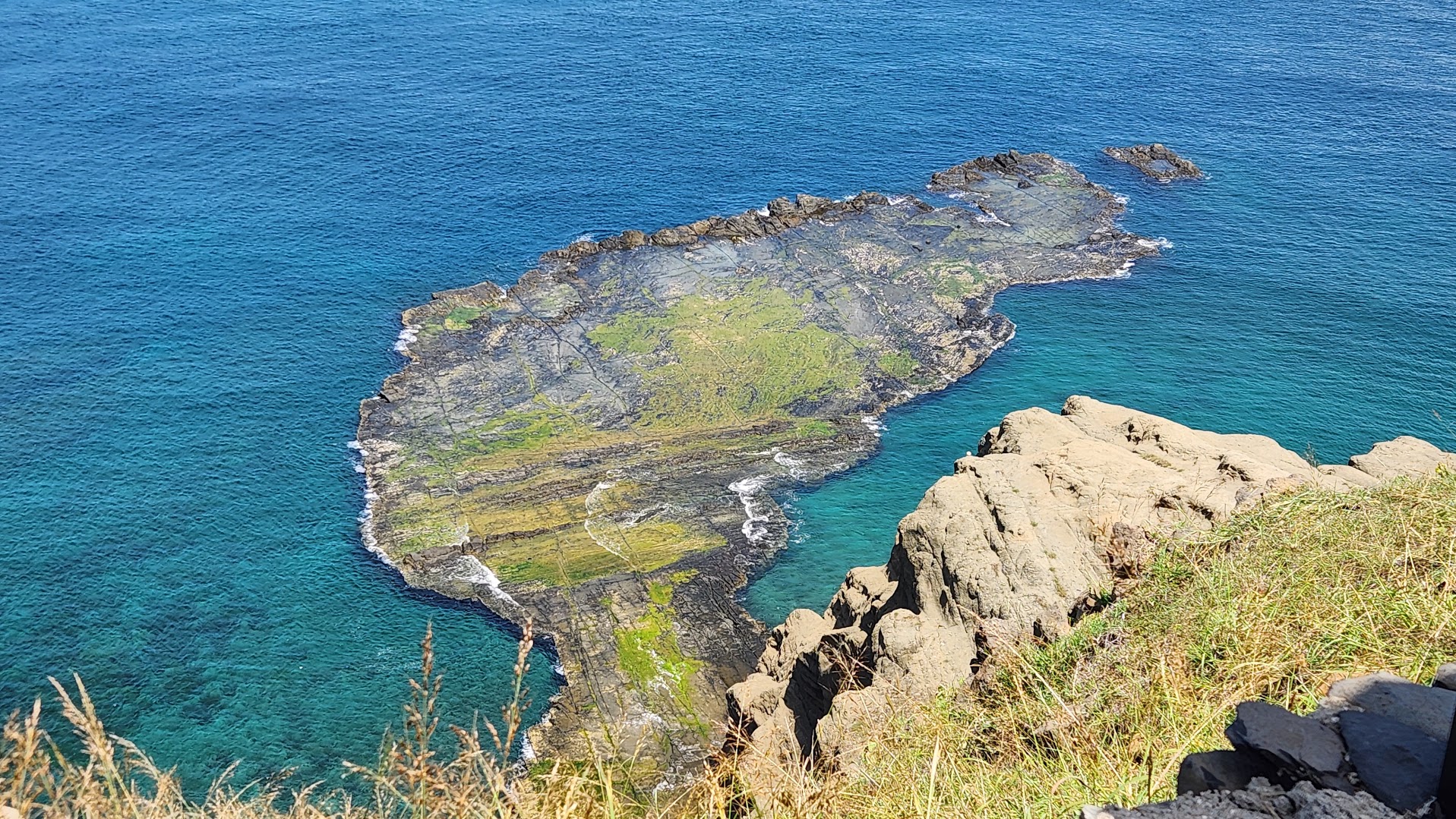 2026澎湖素食旅遊攻略|澎澄飯店開箱:港景泳池、跳島與在地蔬食美食地圖