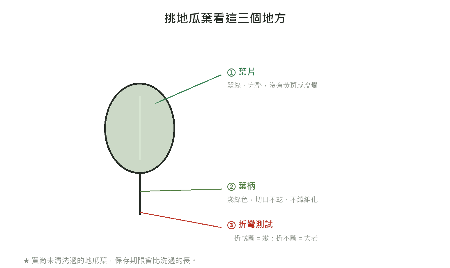 挑地瓜葉的三個檢查點:葉片、葉柄、折彎測試