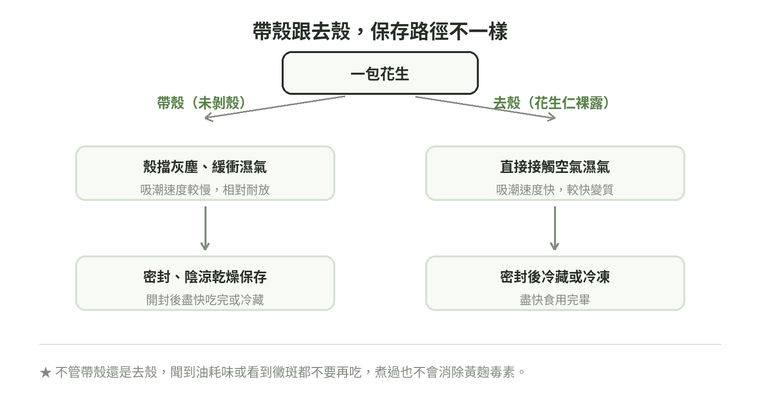 帶殼跟去殼花生保存路徑分支圖：帶殼靠殼擋灰塵緩衝濕氣、吸潮較慢，建議密封陰涼乾燥保存；去殼直接接觸空氣濕氣、吸潮較快，建議密封後冷藏或冷凍