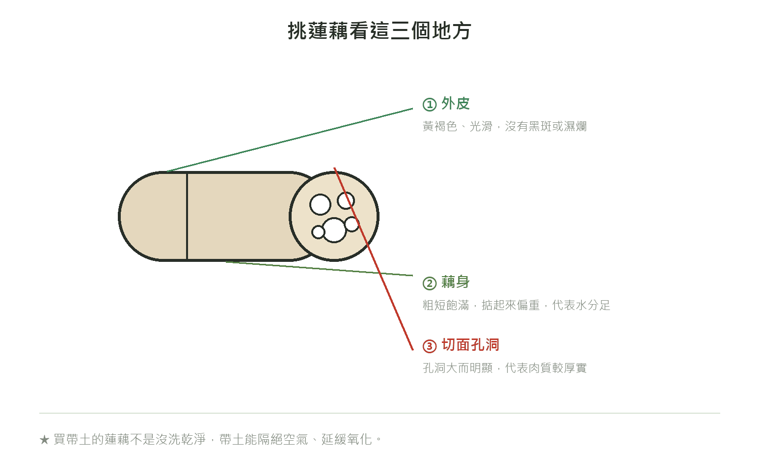 挑蓮藕看這三個地方:外皮、藕身、切面孔洞