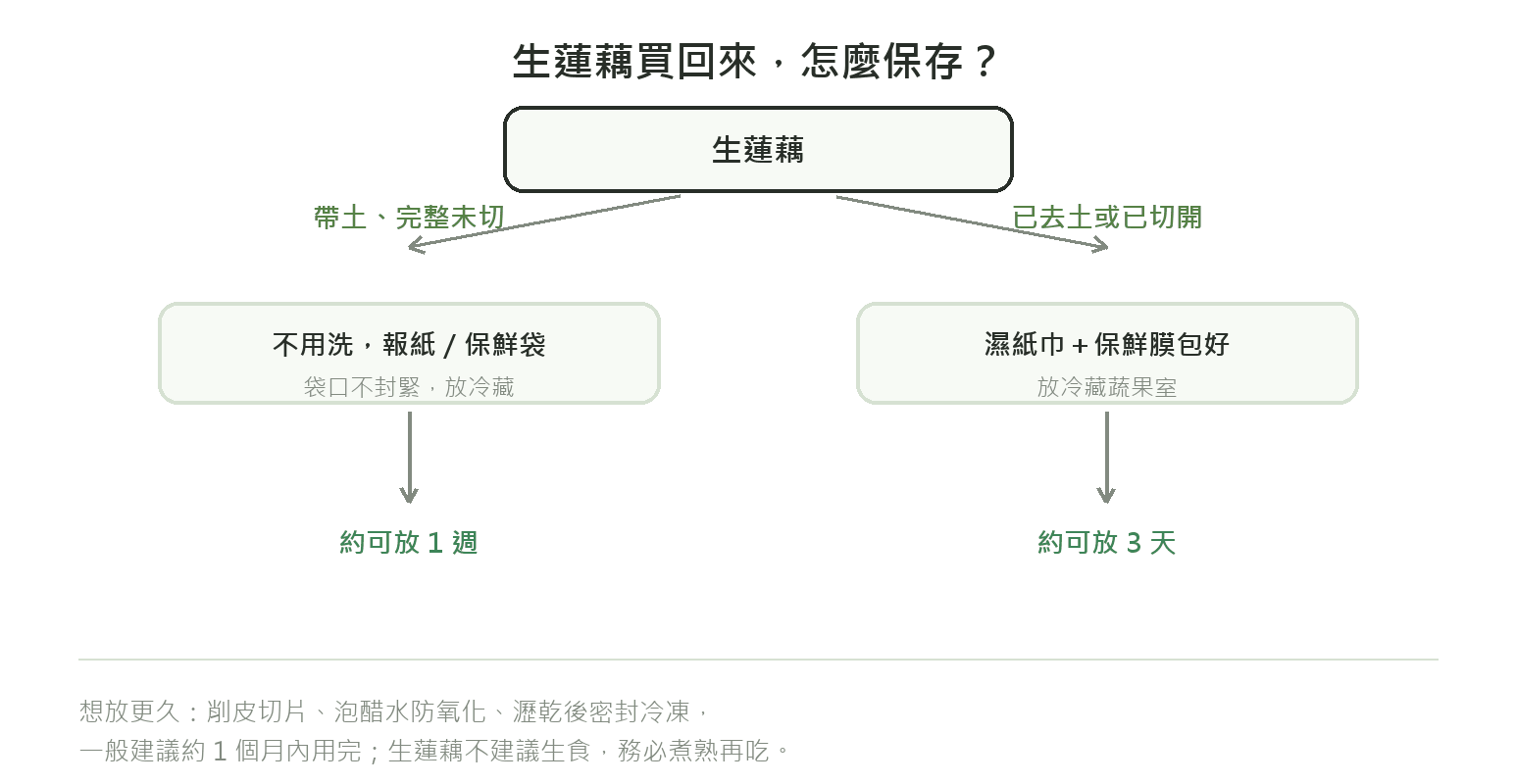 生蓮藕保存流程:帶土完整冷藏約1週,已去土或已切開冷藏約3天