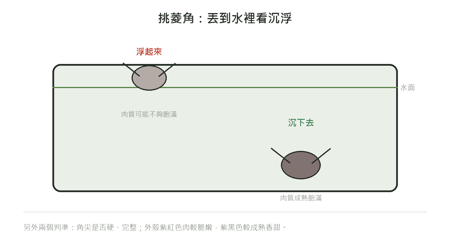 菱角泡水挑選示意圖：沉下去的肉質成熟飽滿，浮起來的可能不夠飽滿
