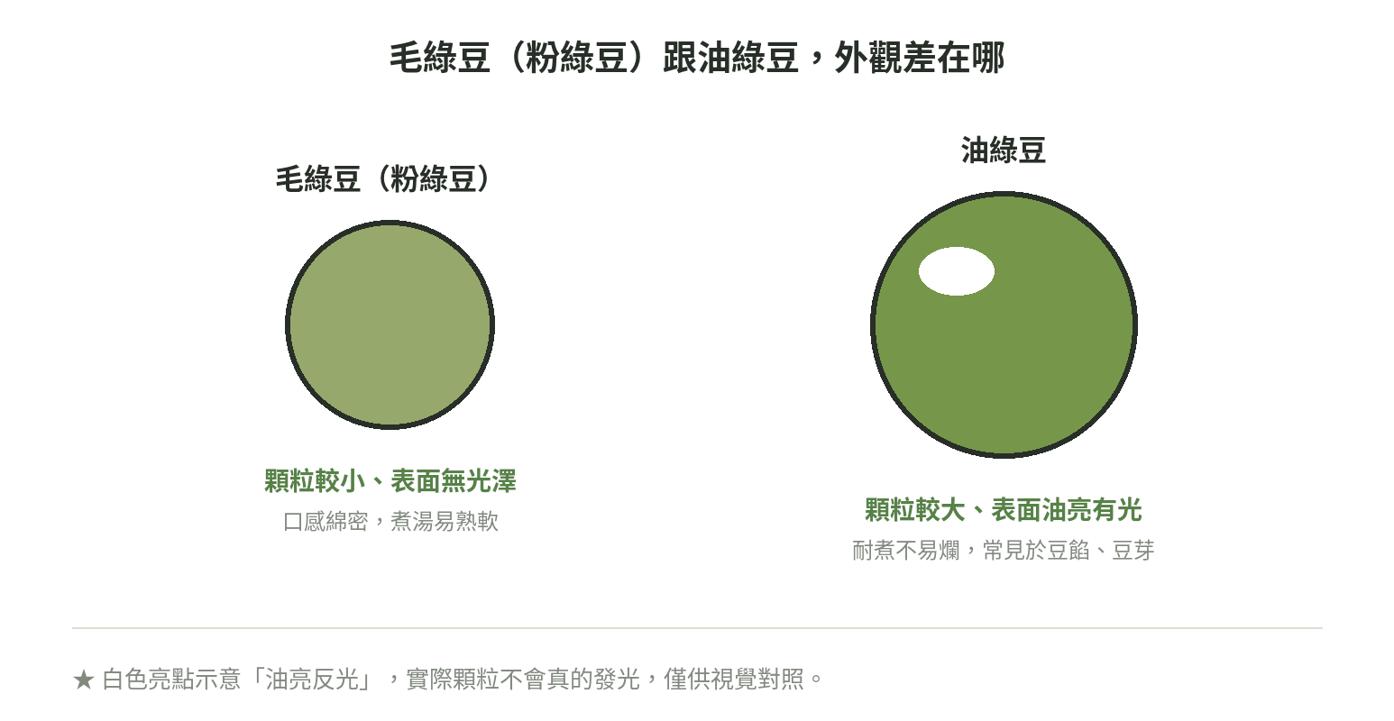毛綠豆(粉綠豆)跟油綠豆的外觀對照,毛綠豆顆粒較小且無光澤,油綠豆顆粒較大且表面油亮
