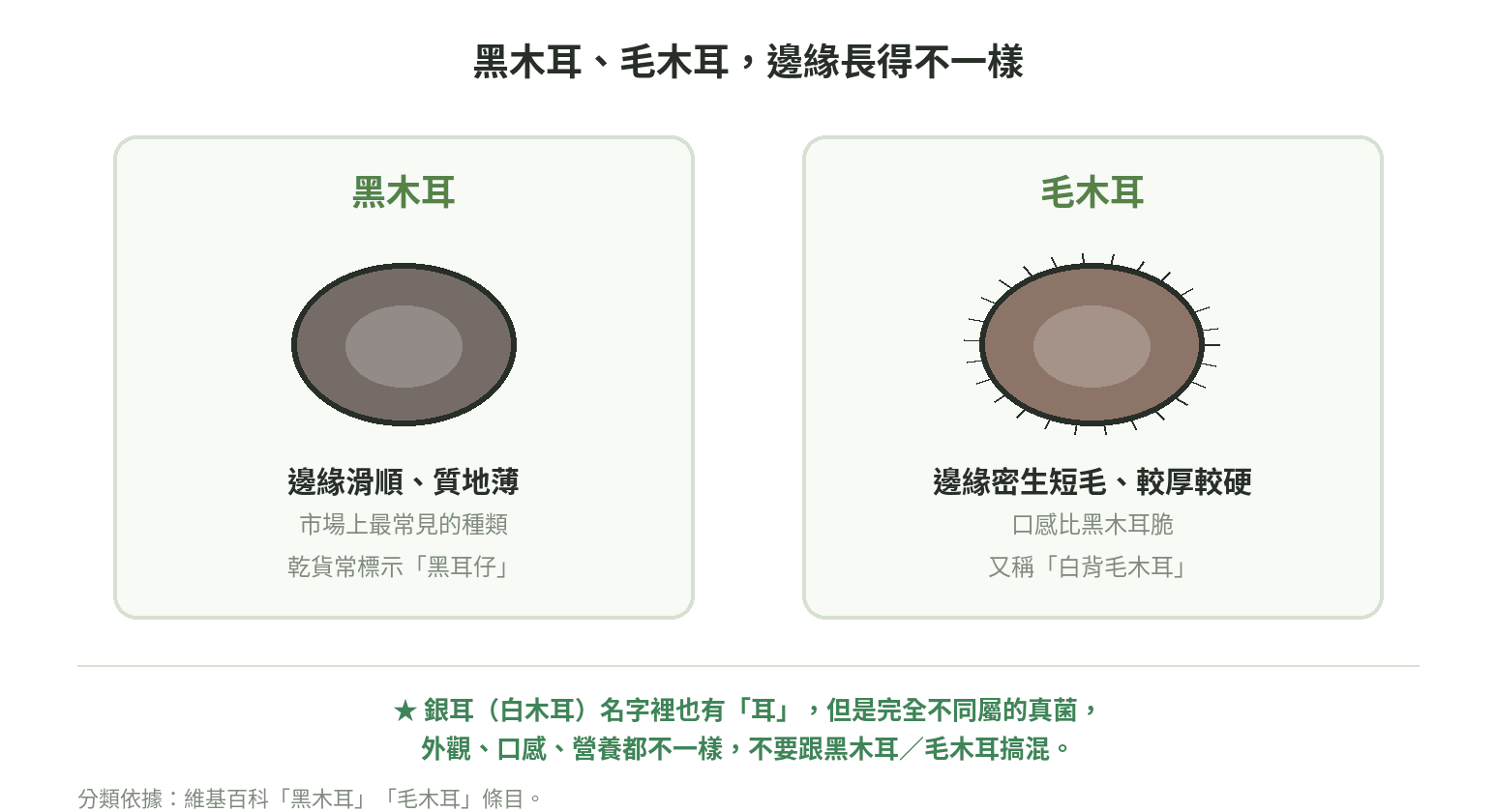 黑木耳與毛木耳外觀比較：黑木耳邊緣滑順質地薄，毛木耳邊緣密生短毛較厚較硬