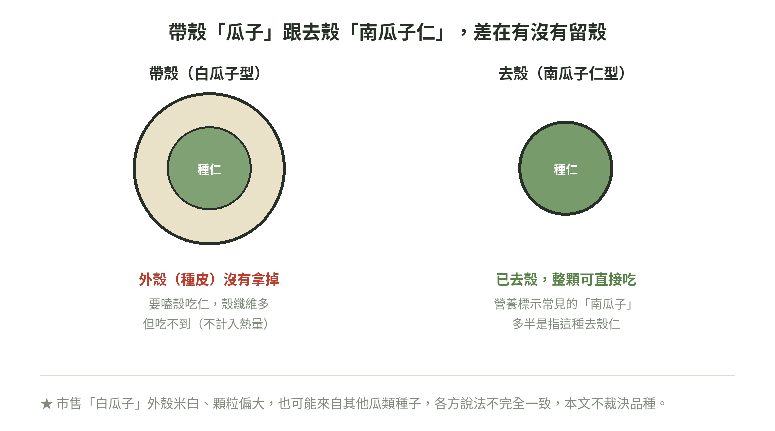 帶殼白瓜子與去殼南瓜子仁的剖面對照示意圖，說明外殼與種仁的位置關係