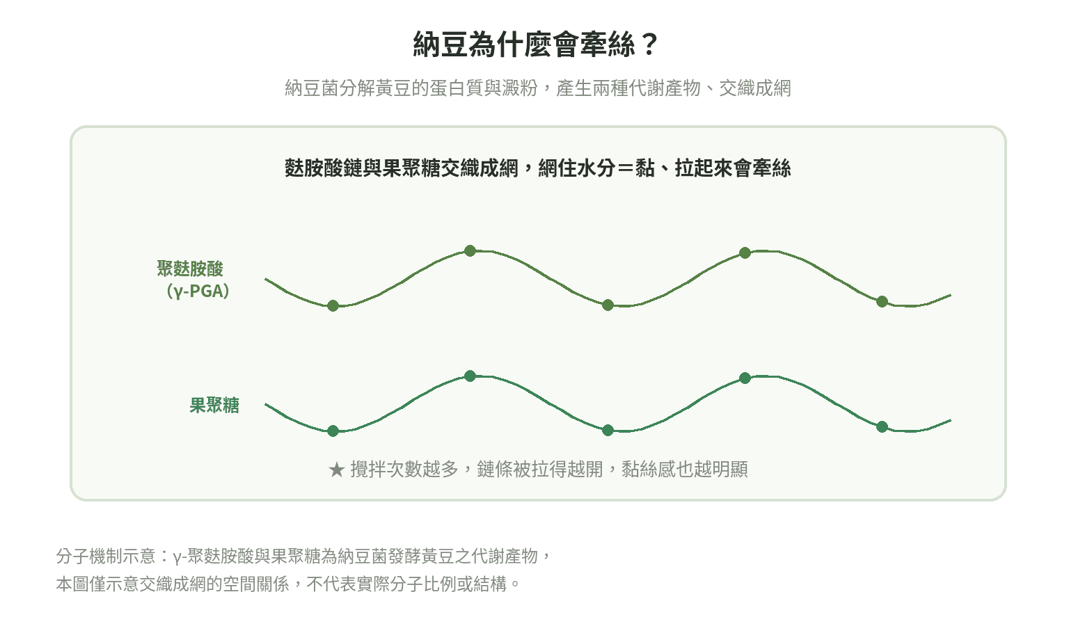 納豆牽絲分子機制示意圖：聚麩胺酸與果聚糖交織成網狀結構、包覆水分