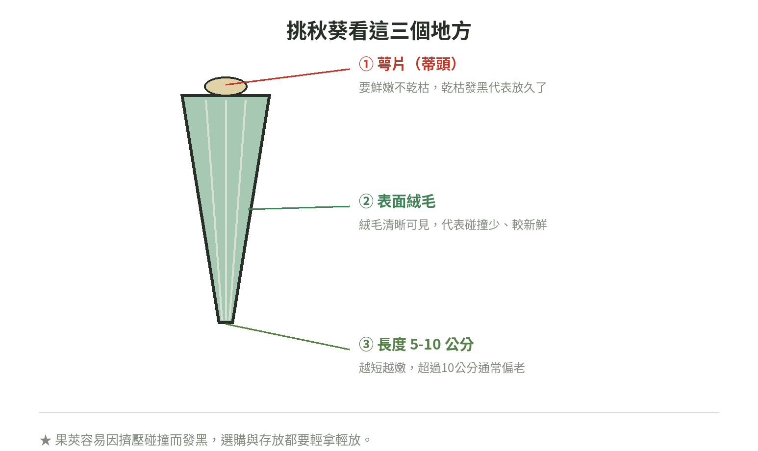 挑秋葵看這三個地方：萼片蒂頭是否鮮嫩、表面絨毛是否清晰、長度是否在5到10公分之間