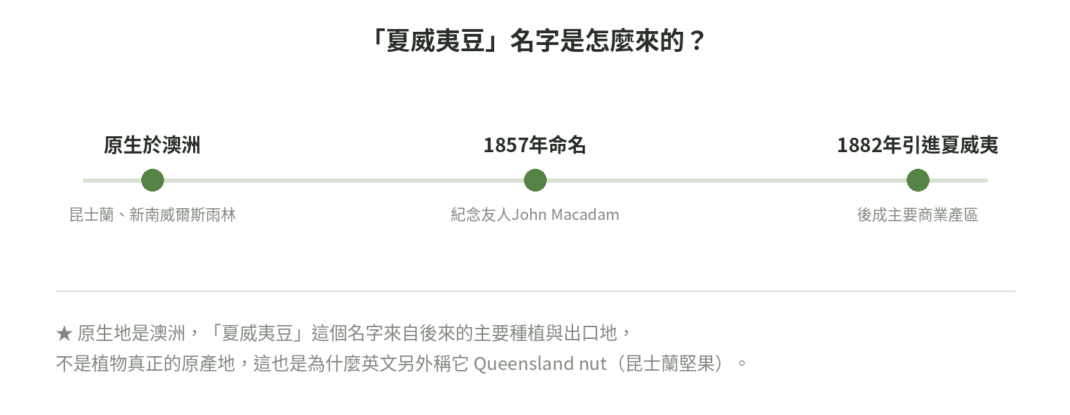 夏威夷豆名稱由來時間軸:原生於澳洲,1857年命名,1882年引進夏威夷後成主要商業產區
