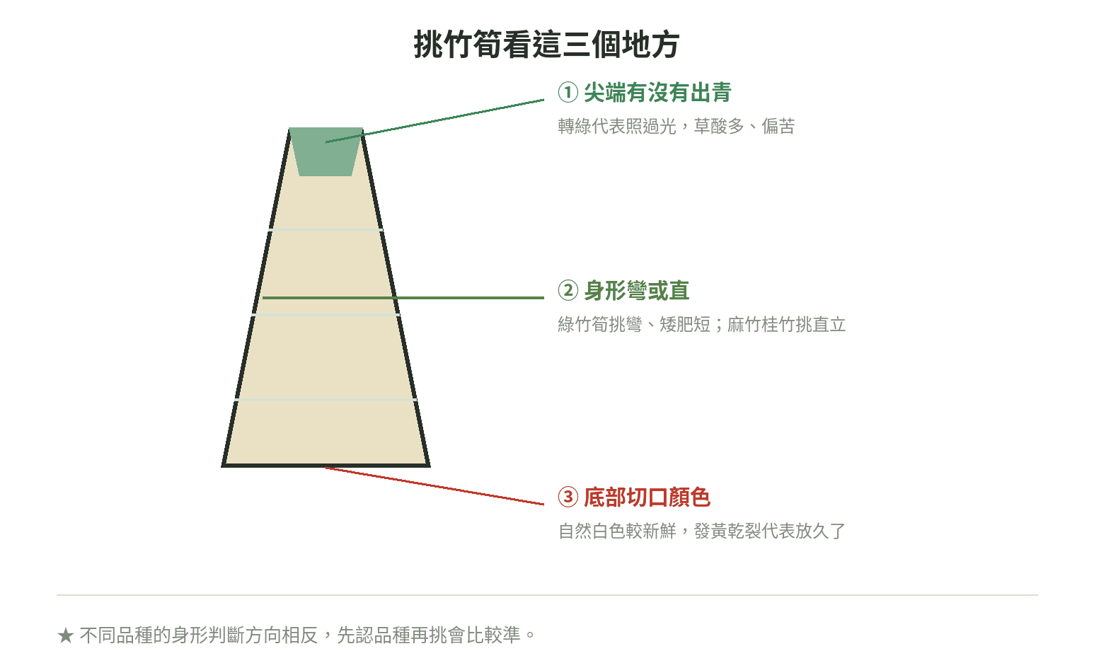 挑竹筍看這三個地方：尖端有沒有出青、身形彎曲或直立、底部切口是否自然白色