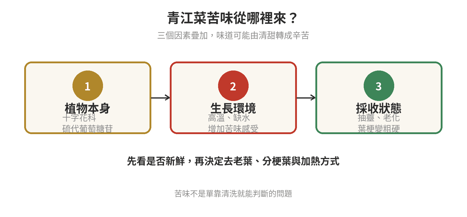 青江菜苦味來源示意:植物本身的硫代葡萄糖苷,以及相近作物研究所見的生長溫度與感官差異