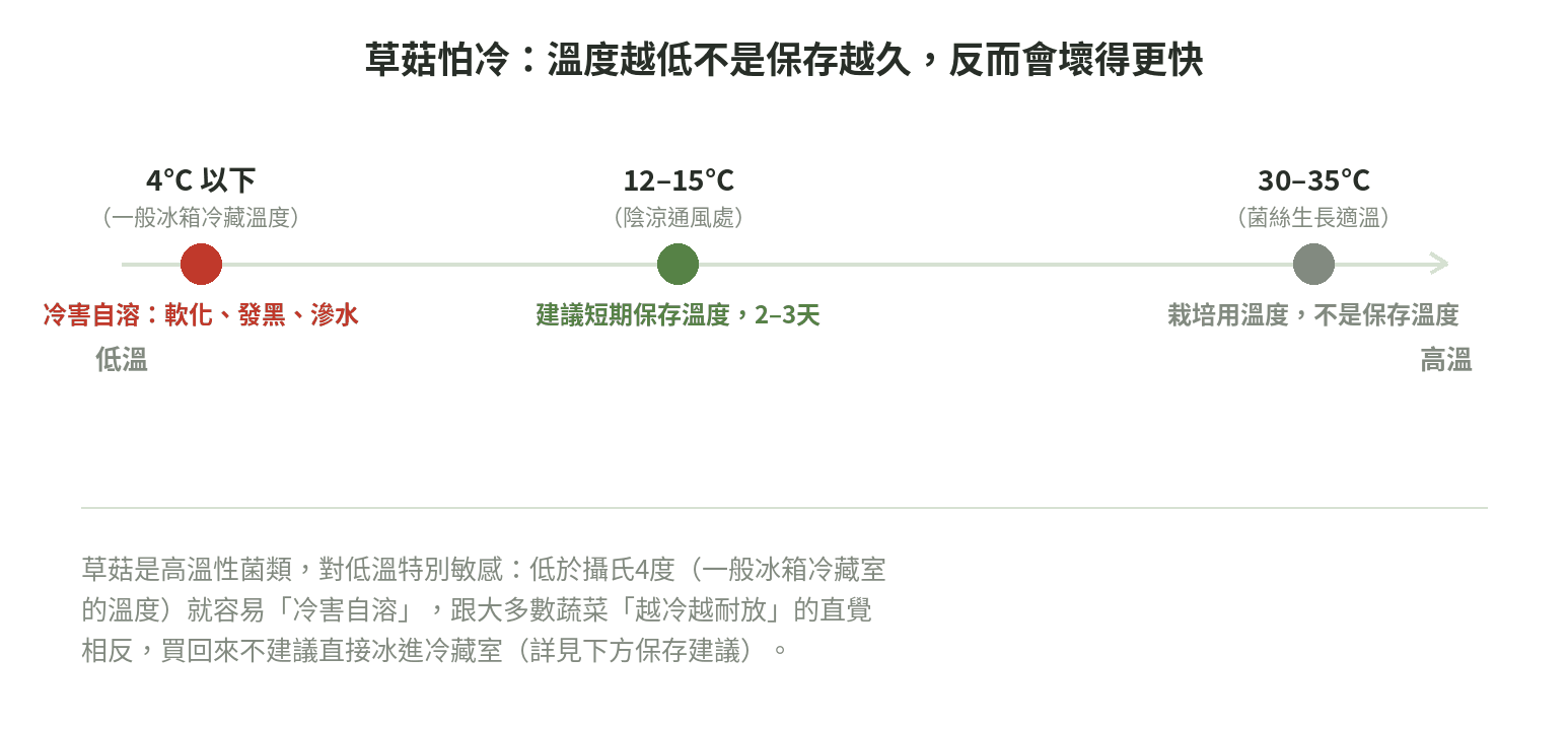草菇怕冷:低溫(4°C以下)冷害自溶、12-15°C建議保存溫度、30-35°C菌絲生長適溫的連續軸示意圖
