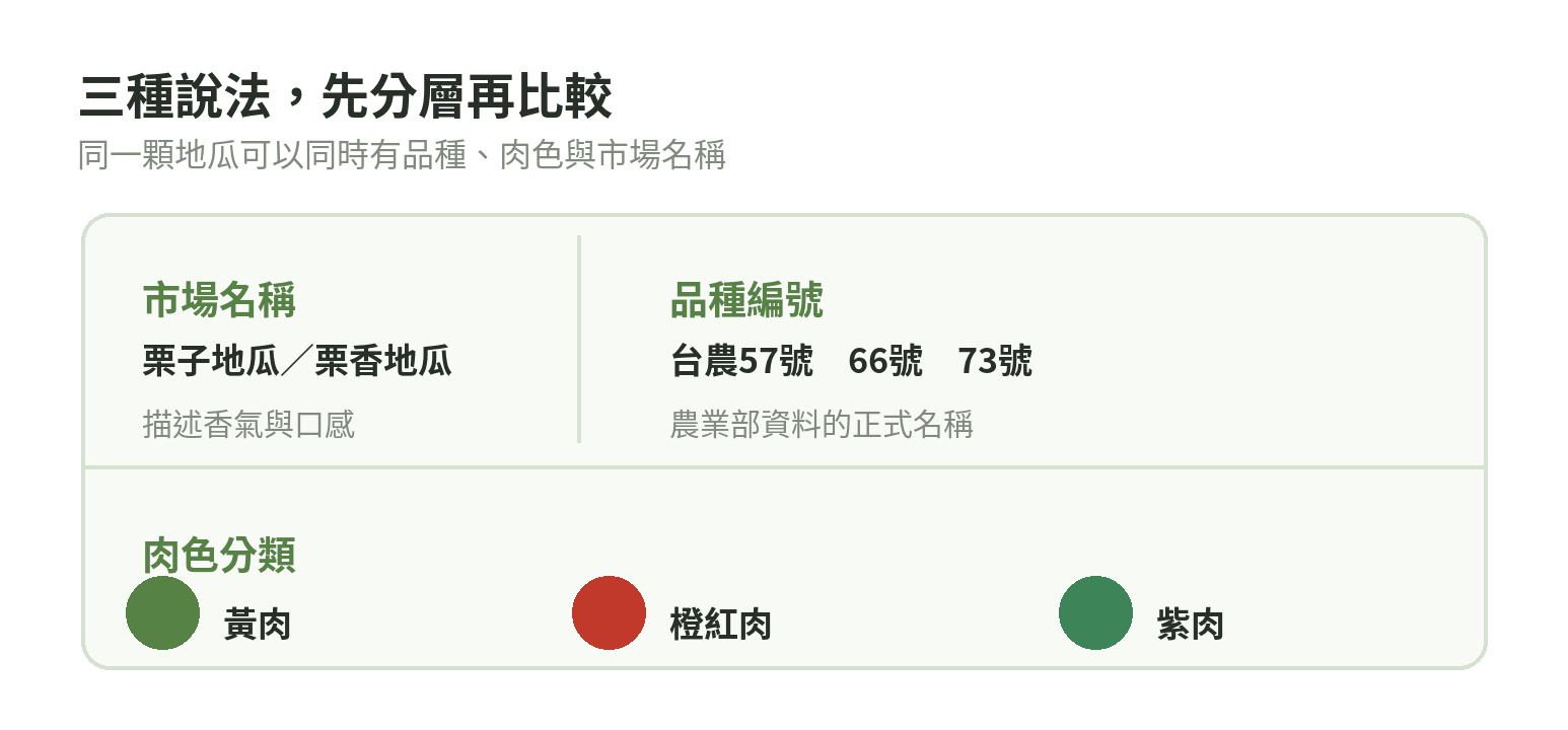 地瓜名稱與肉色關係:57號黃肉、66號紅肉、栗香類不等於單一品種、紫心以紫肉分類