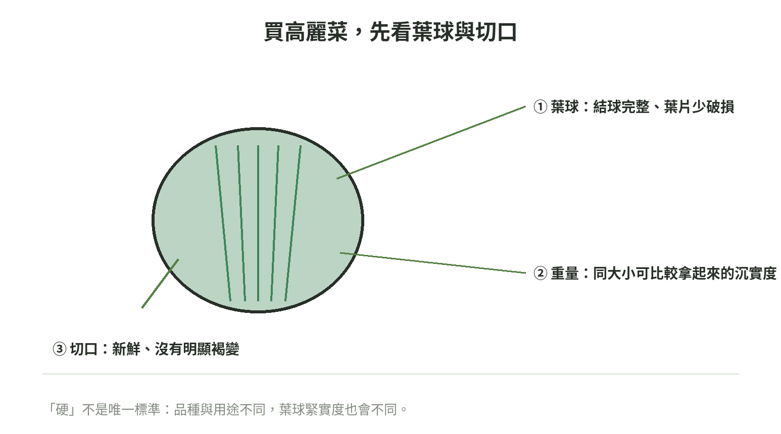 買高麗菜先看葉球、重量與切口三個地方