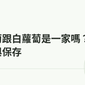 紅蘿蔔跟白蘿蔔是一家嗎？挑選與保存｜蔬食生活