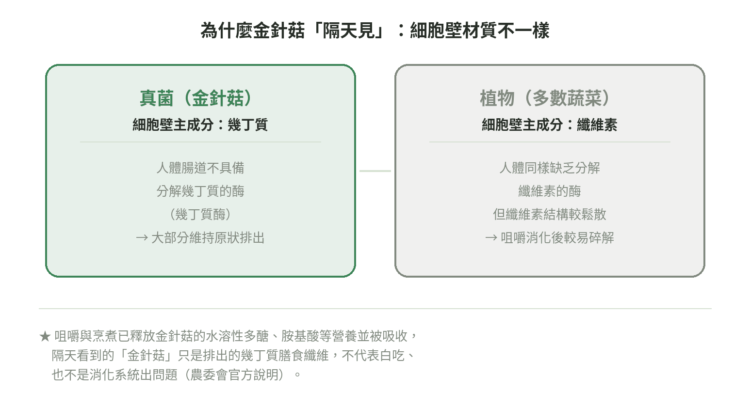 真菌與植物細胞壁材質對比圖:金針菇(真菌)細胞壁主成分是幾丁質、人體缺乏分解幾丁質的酶;植物細胞壁主成分是纖維素