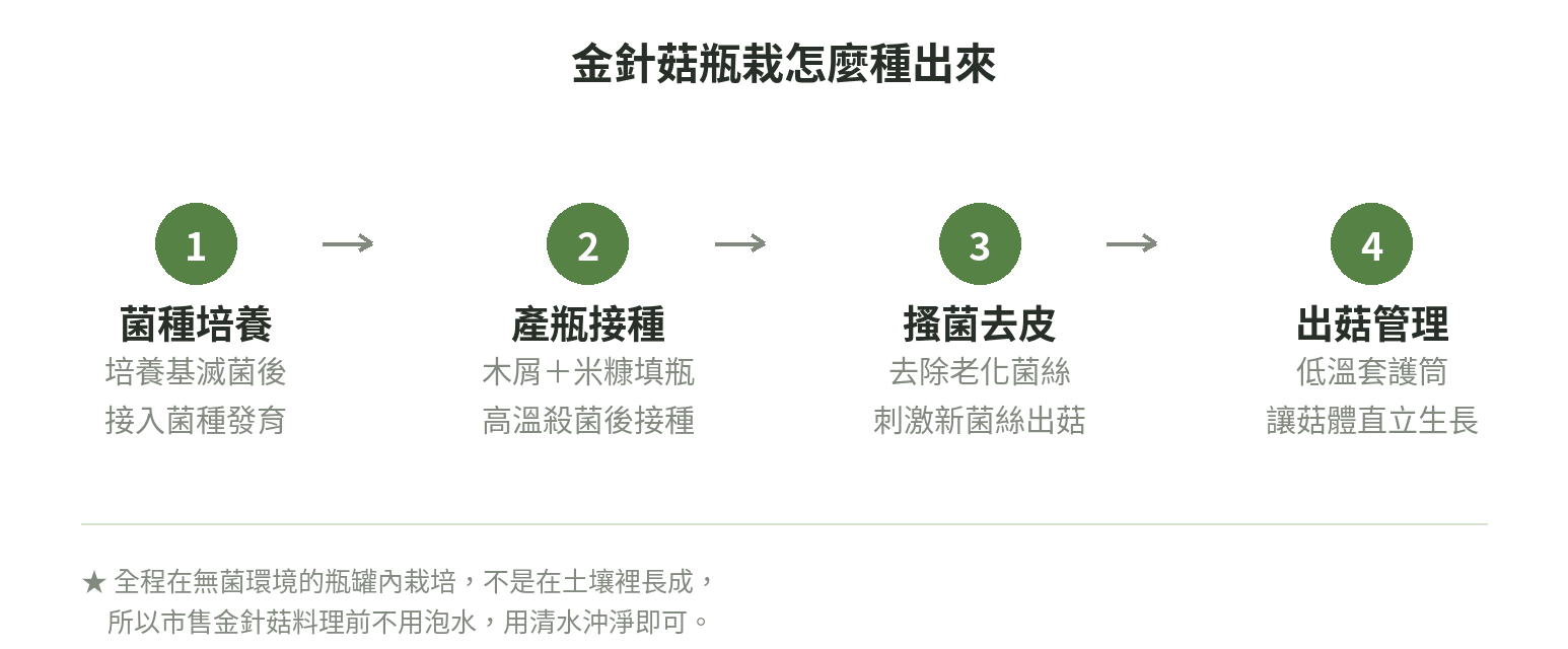金針菇瓶栽流程圖:菌種培養、產瓶接種、搔菌去皮、出菇管理四個步驟