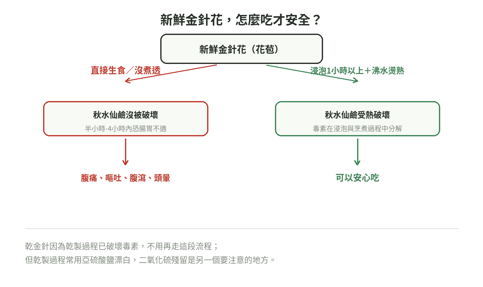 新鮮金針花處理流程:直接生食或沒煮透會讓秋水仙鹼沒被破壞,半小時至4小時內恐腸胃不適;先浸泡1小時以上再沸水燙熟則秋水仙鹼受熱破壞,可以安心吃