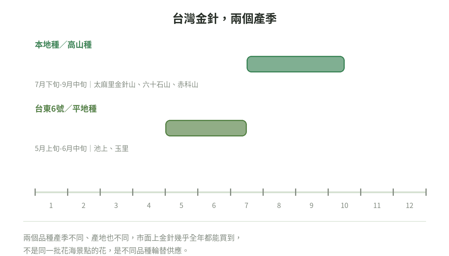台灣金針兩個產季:本地種/高山種7月下旬至9月中旬,產地為太麻里金針山、六十石山、赤科山;台東6號/平地種5月上旬至6月中旬,產地為池上、玉里