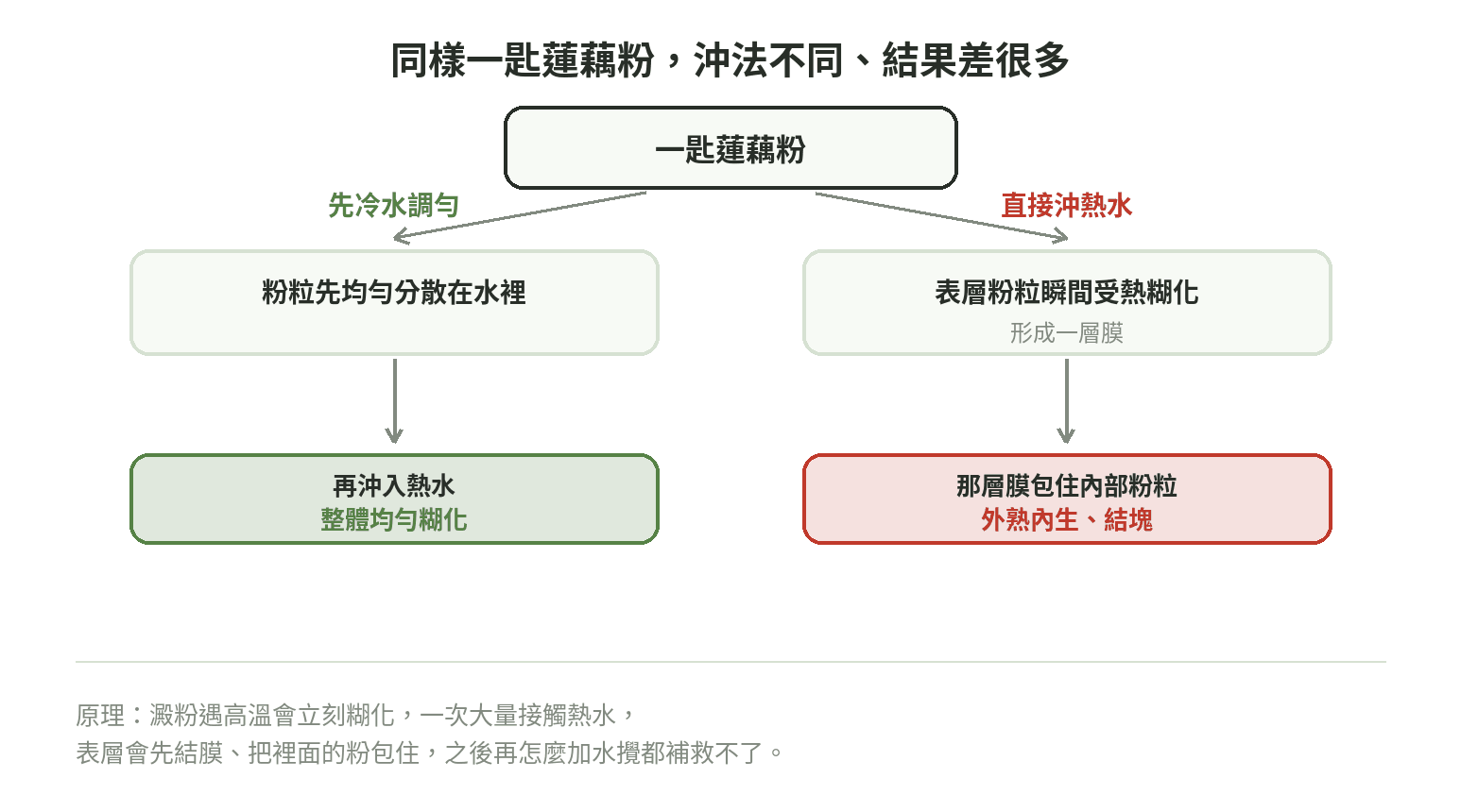 蓮藕粉沖泡結果分支示意圖,對比先冷水調勻再沖熱水(均勻糊化)與直接沖熱水(表層結膜、內部結塊)兩種結果