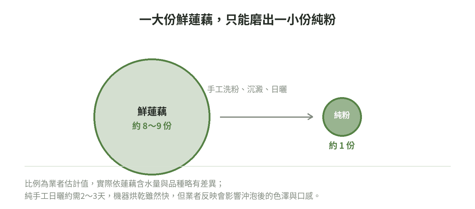 鮮蓮藕與純蓮藕粉的重量比例示意圖,用面積大小表示約8~9份鮮蓮藕才能磨出1份純蓮藕粉