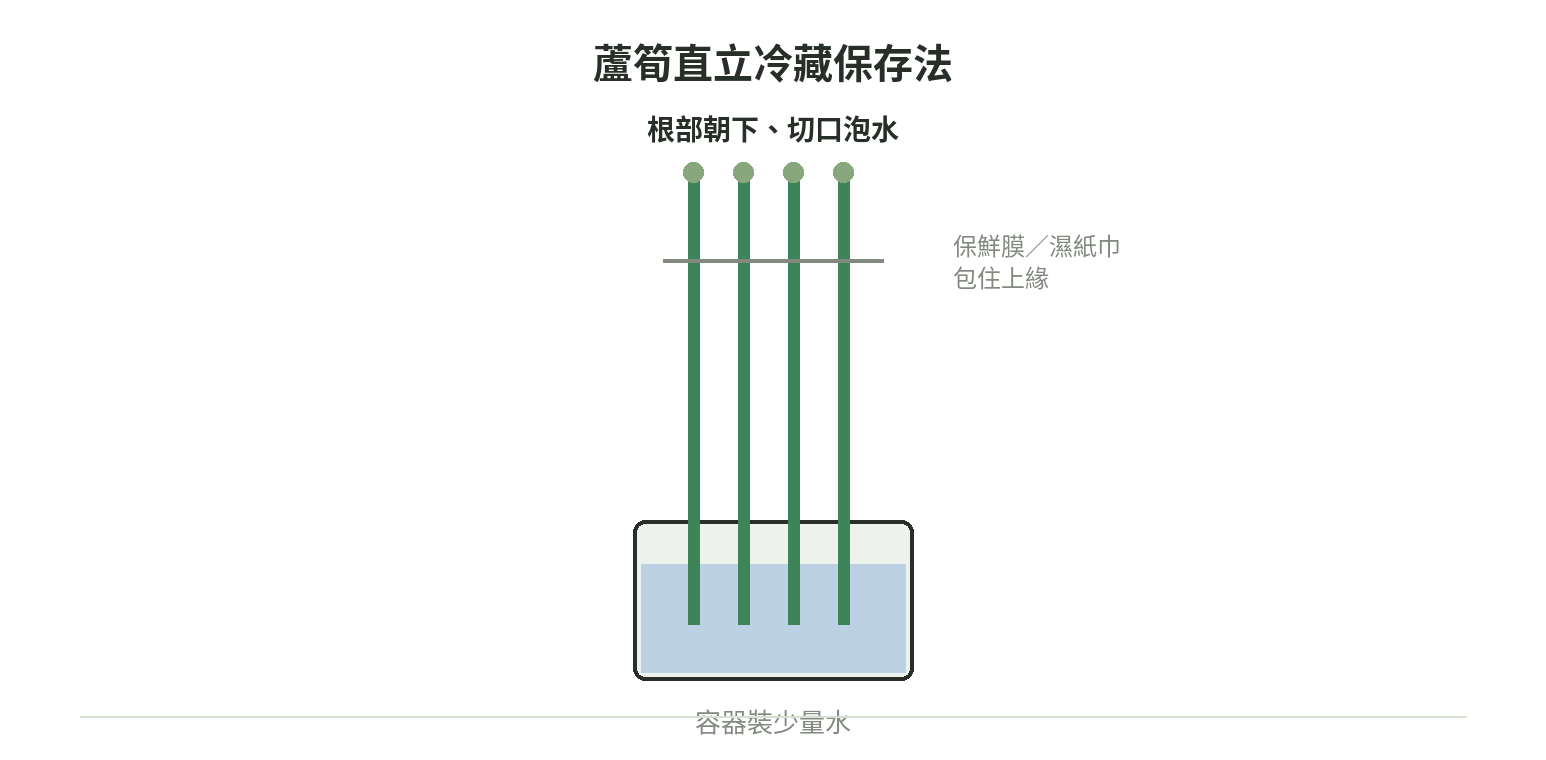 蘆筍直立冷藏保存法示意圖:根部朝下立在裝水容器中,保鮮膜包住上緣,整體直立放入冰箱冷藏