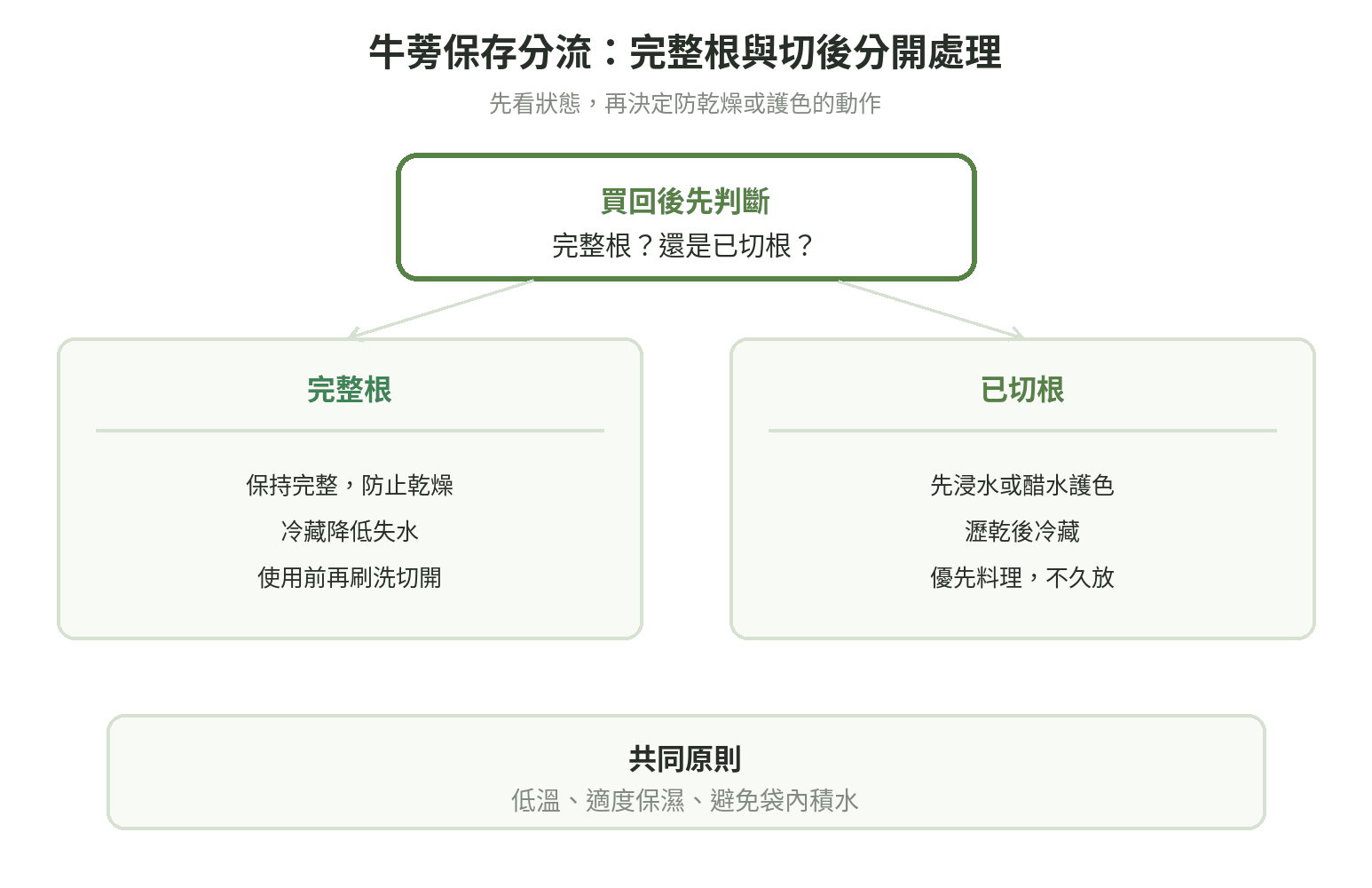 牛蒡保存分流：完整根短時間防乾燥、較長時間冷藏，切後先浸水護色、瀝乾、冷藏並優先料理