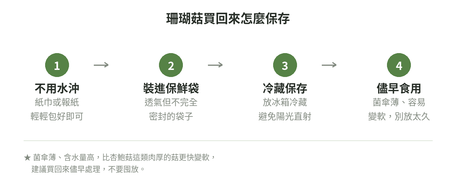 珊瑚菇保存步驟示意圖:不用水沖、裝進透氣保鮮袋、放冰箱冷藏、儘早食用,菌傘薄含水量高比杏鮑菇更快變軟