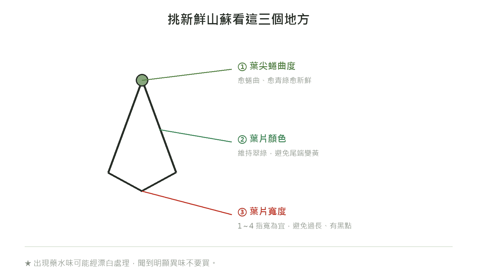 挑新鮮山蘇看三個重點:葉尖蜷曲度愈捲愈新鮮、葉片顏色愈青綠愈好、葉片寬度1到4指寬為宜