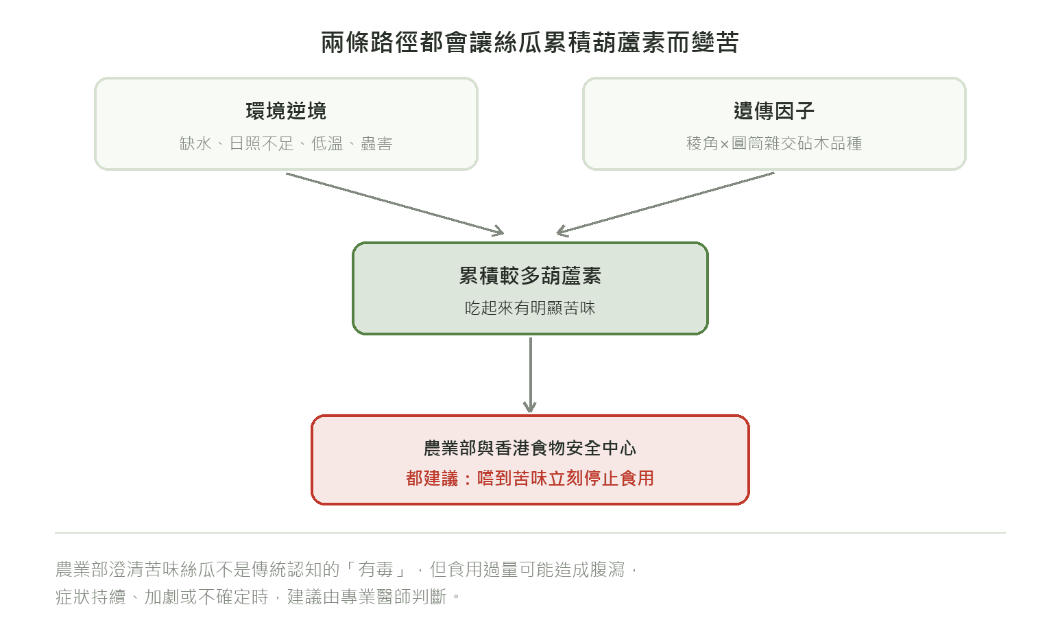 絲瓜變苦成因分支圖:環境逆境(缺水、日照不足、蟲害)、遺傳因子(稜角與圓筒絲瓜雜交砧木)兩條路徑都會讓絲瓜累積葫蘆素而變苦,建議嚐到苦味立刻停止食用