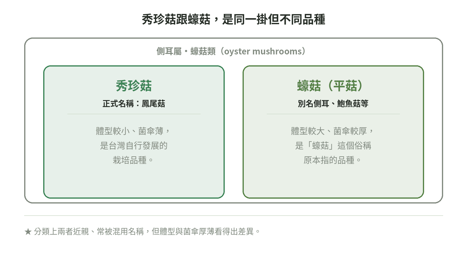 秀珍菇與蠔菇同屬側耳屬蠔菇類但為不同栽培品種的分類關係示意圖,秀珍菇正式名稱鳳尾菇、體型較小菌傘薄,蠔菇又稱平菇、體型較大菌傘較厚